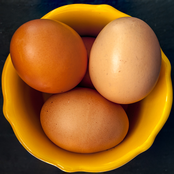 Chicken Eggs